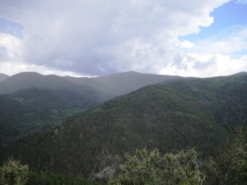 IMG_3734.jpg
